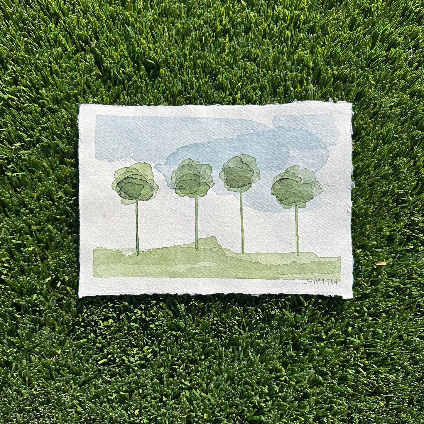 Trees 3